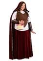 Deluxe Red Riding Hood Plus Size Costume for Women upd
