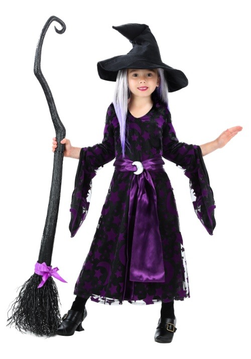 Purple Moon Witch Toddler Girls Costume