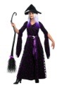 Womens Plus Size Purple Moon Witch Costume