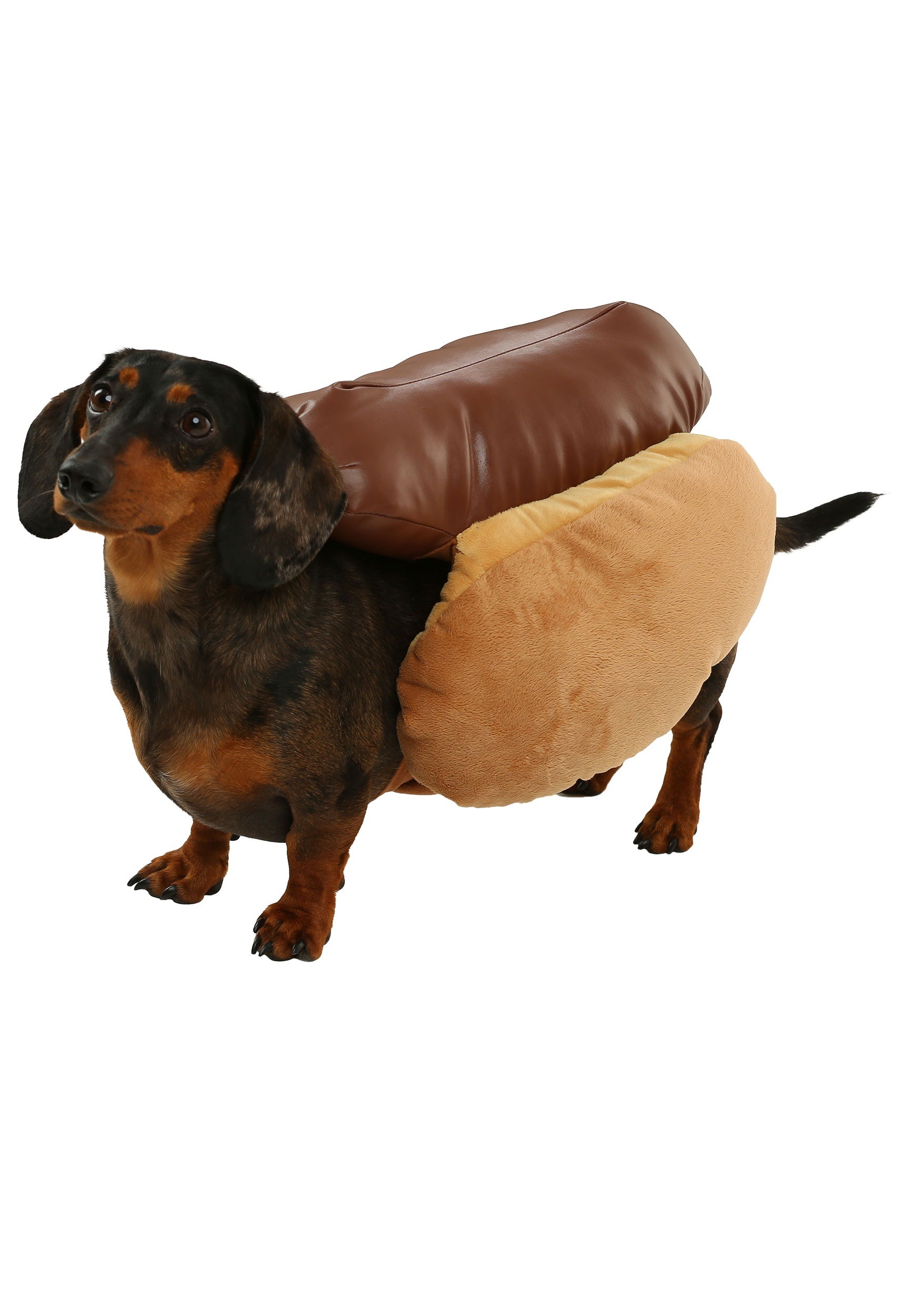 dachshund hot dog outfit