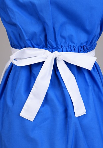 Amish Prairie Costume Dress for Women | Colonial Costumes