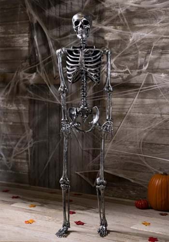 Life Size Dark Grey Silver Skeleton Decoration