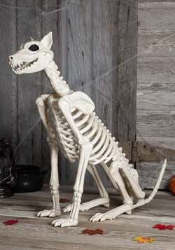 Skeletal Animal Decor