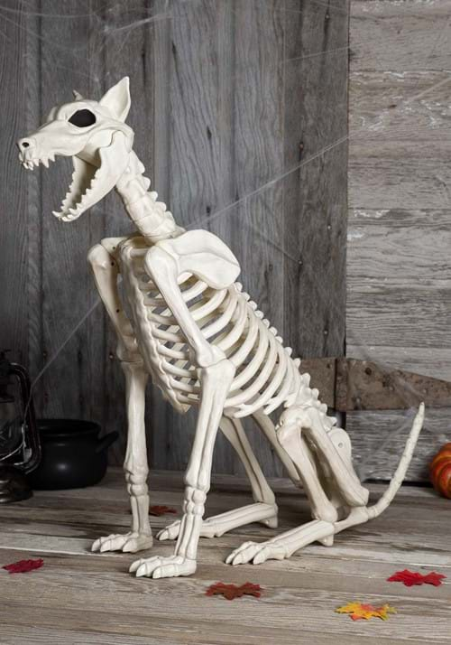 3.8FT Spike the Skeleton Dog Halloween Prop | Skeleton Animals