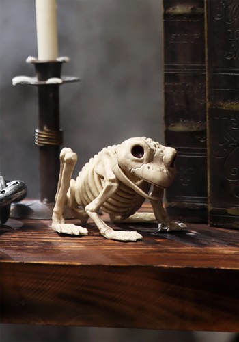 5-Inch Frog Skeleton Decoration | Animal Skeletons