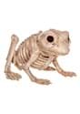 Skeleton Frog Halloween Decoration upd Alt 1