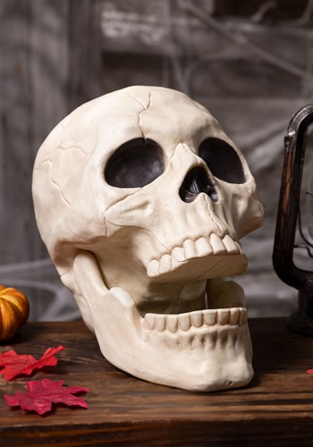 10-Inch Large Skull with Moveable Jaw Prop Decoration | Skeleton Decorations