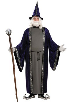 Plus Size Wizard Costume