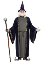 Wizard Costumes - Mens, Plus Size, Sexy Wizard Halloween Costumes