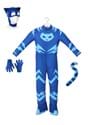 Deluxe PJ Masks Catboy Costume Alt 3