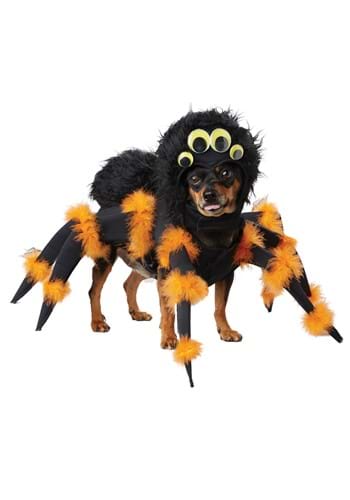 Spider Pet Cat Costume