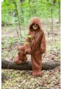 Kids Deluxe Chewbacca Costume