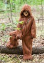 Toddler Deluxe Chewbacca Costume