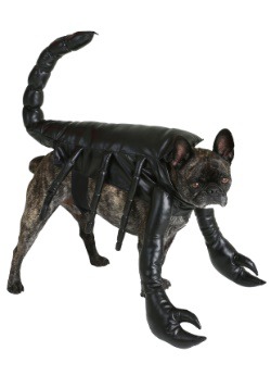 Scorpion Dog Costume