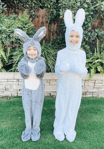 Toddler Grey Bunny Costume | Bunny Costumes