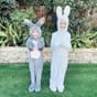 Grey Bunny Costume for Toddlers 
