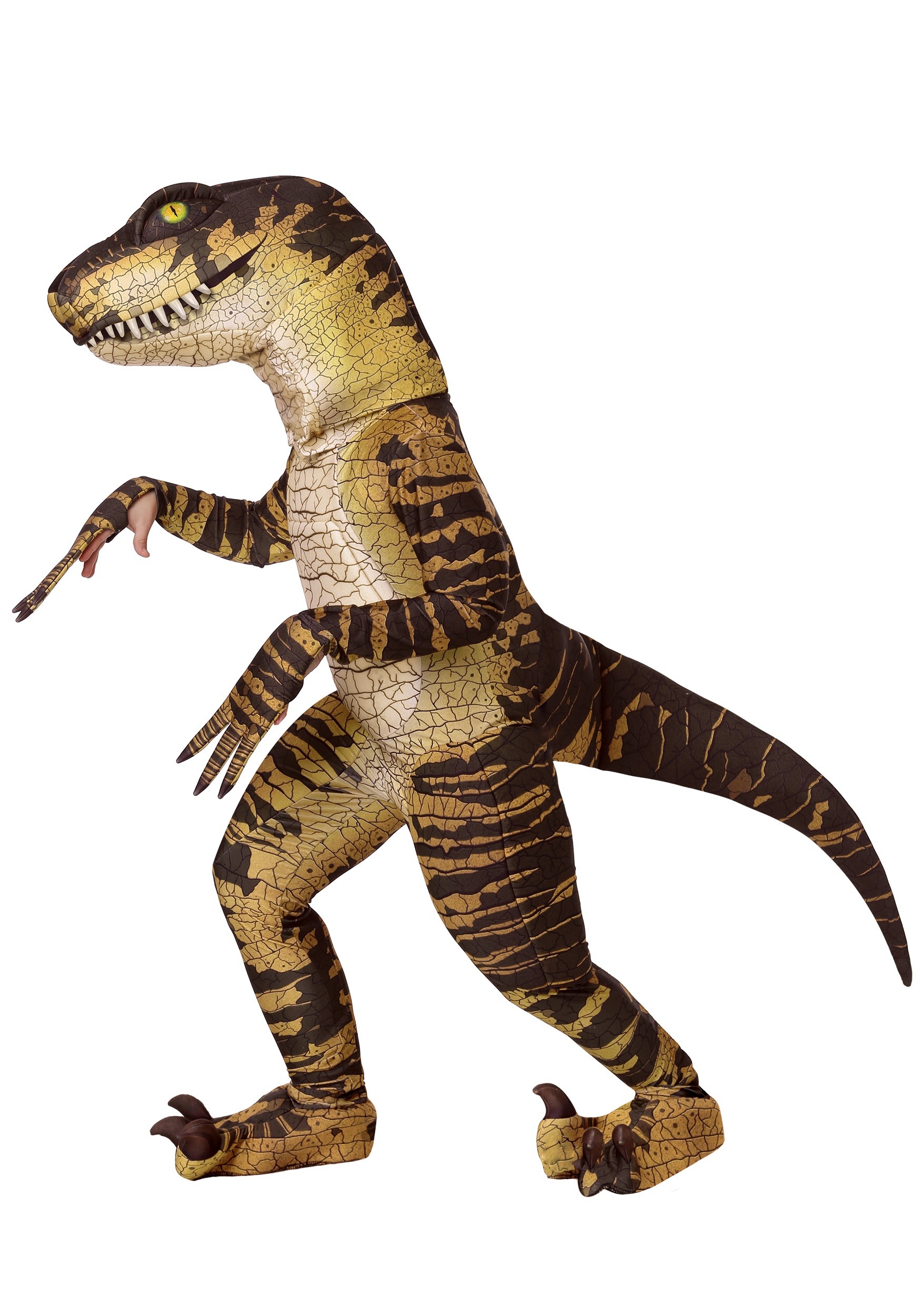 Disfraz de Raptor Child Multicolor