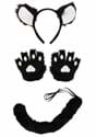 Deluxe Black Cat Kit Alt 4