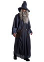 Adult Plus Size Premium Gandalf Costume