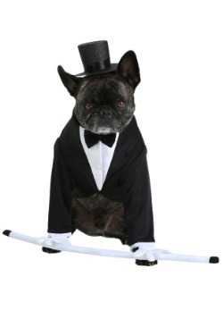 Formal Tuxedo Dog Costume