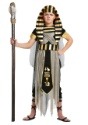 Boys All Powerful Pharaoh Costume