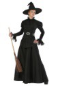 Classic Black Witch Womens Costume