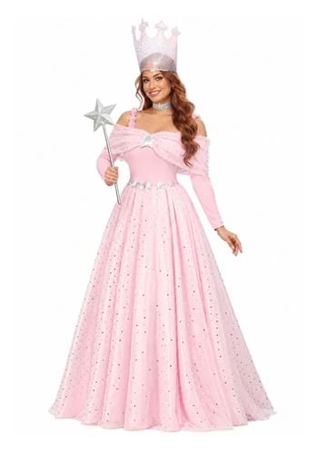 Deluxe Womens Pink Witch Dress Costume New Main