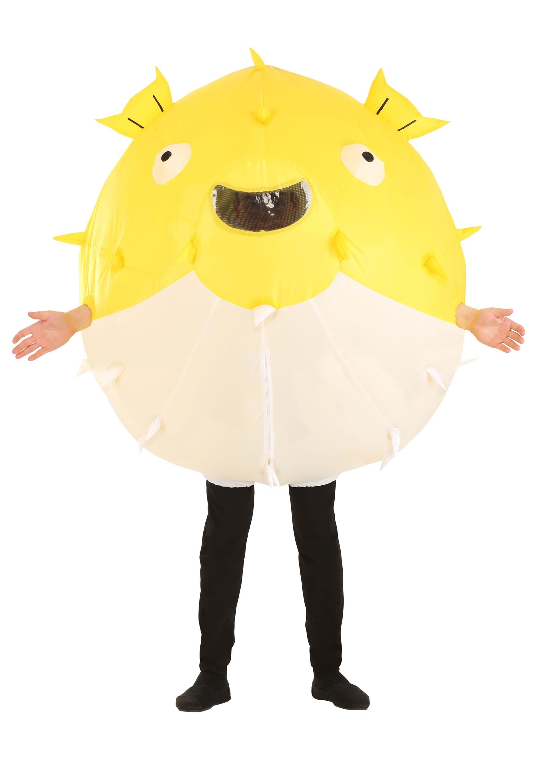 https://images.halloweencostumes.com/products/41557/1-1/adult-inflatable-puffer-fish-costume.jpg
