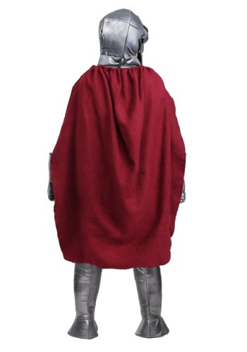 Royal Knight Boy's Costume | Historical Costumes