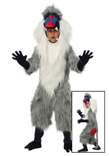 Kids Baboon Costume