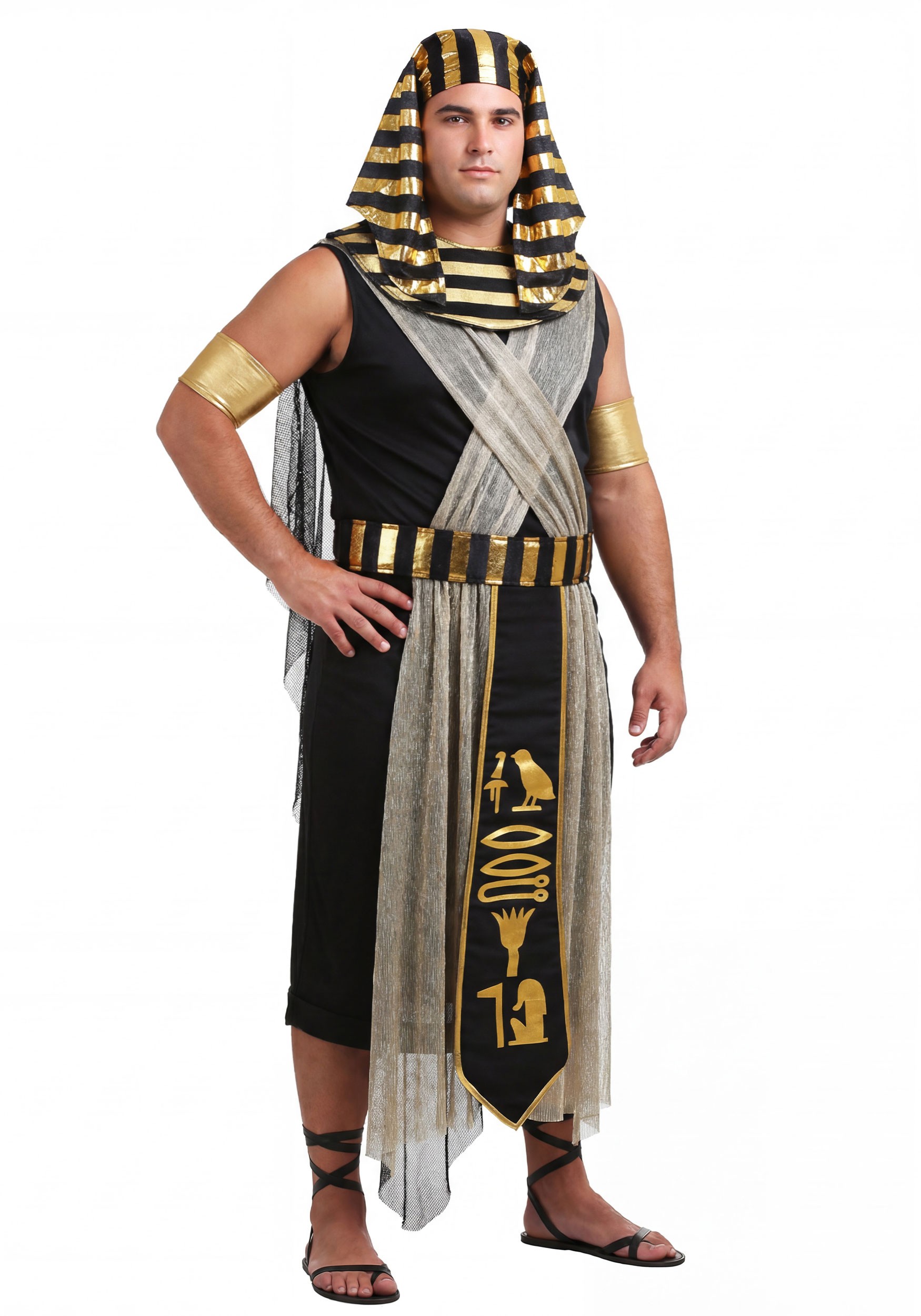 Plus Size All Powerful Pharaoh Costume