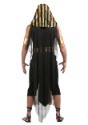 All Powerful Pharaoh Plus Size Men's Costume