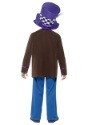 Boy's Crazy Hatter Costume1