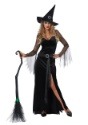 Womens Rich Witch Costume