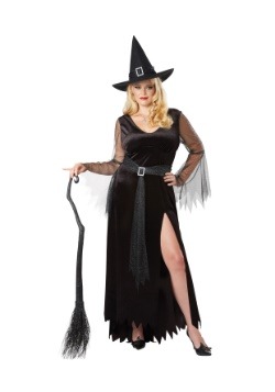 Rich Witch Womens Plus Size Costume