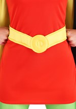 DC Women's Robin Costume 7