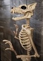 64'' Pose-N-Stay Werewolf Skeleton Halloween Decoration Alt 