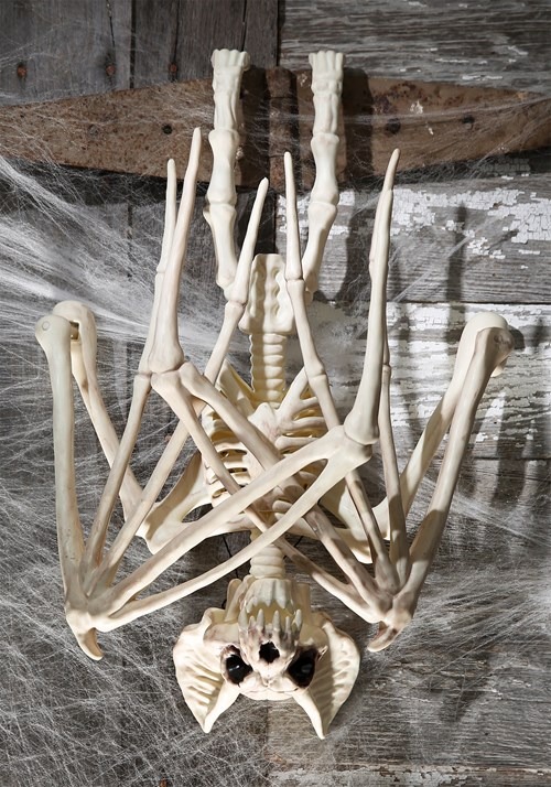 36'' Nocturnal Bat Skeleton Update 2