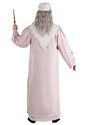 Adult Deluxe Plus Size Dumbledore Costume Alt 7