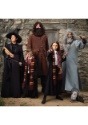 Harry Potter Deluxe Hagrid Plus Size Mens Costume alt1