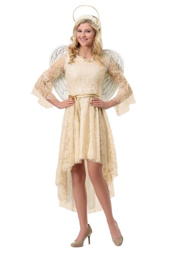 Women's Lace Angel Costume1