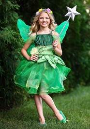Simple Fairy Costume Ubicaciondepersonas cdmx gob mx