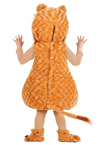 Lion Costume for Infant/Toddler | Lion Costumes