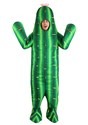 Cactus Costume for Adults
