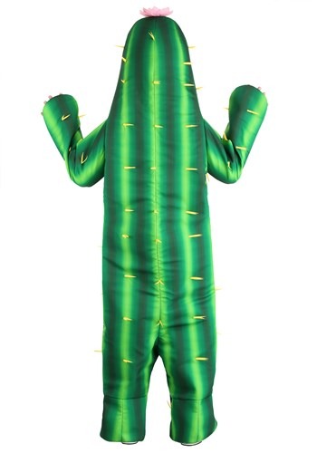 Adult Desert Cactus Costume