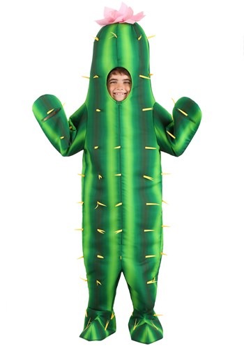 Cactus Kids Costume