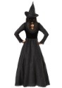 Plus Size Deluxe Dark Witch Costume Alt 2