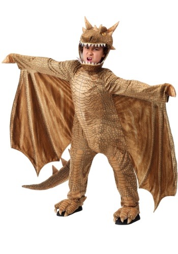 Child's Fantasy Dragon Costume