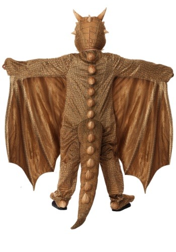 Fantasy Dragon Child's Costume