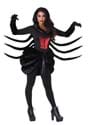 Women's Black Widow Spider Costume